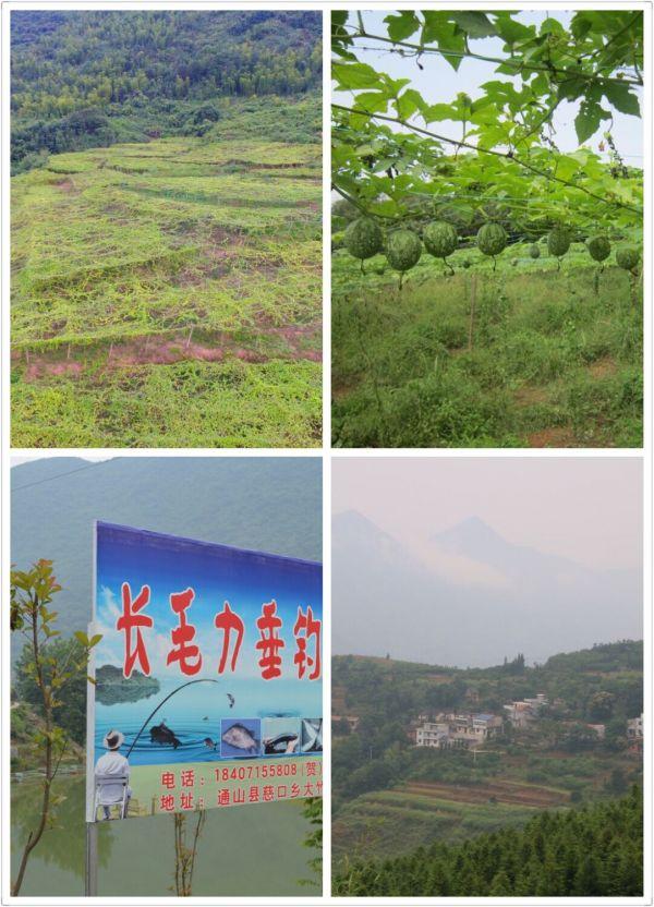 大竹設(shè)市最新規(guī)劃，描繪未來(lái)城市的宏偉藍(lán)圖