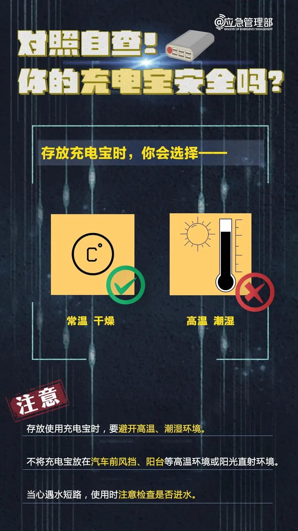 最新跑狗玄機(jī)圖，探索與解讀