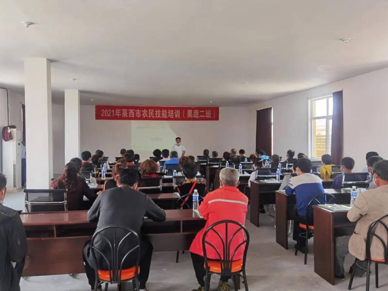 萊西胡蘿卜最新價(jià)格動(dòng)態(tài)分析
