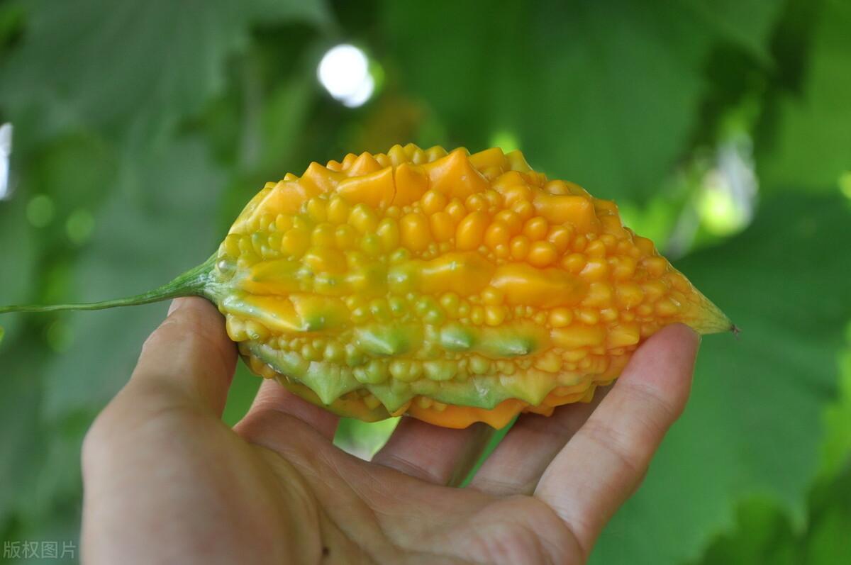 多發(fā)性脂囊瘤最新治療方法
