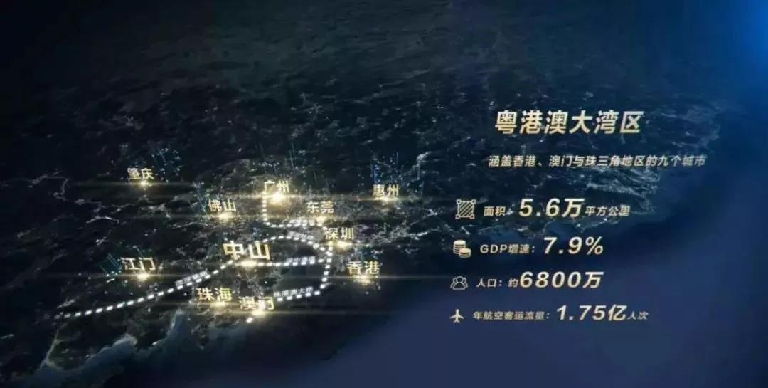 中洲控股最新消息全面解析
